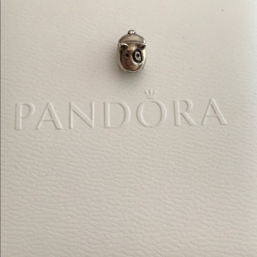 Pandora Retired Dog with a Circle Around His Eye